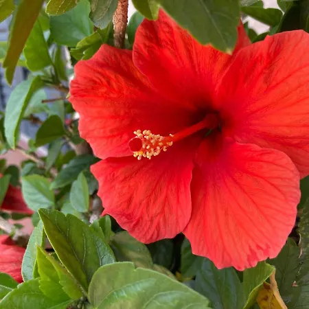 Il Diretto Affittacamere 4*